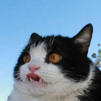 Vladislav98 аватар